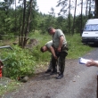 dolad�n�