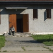 p�ed akc�